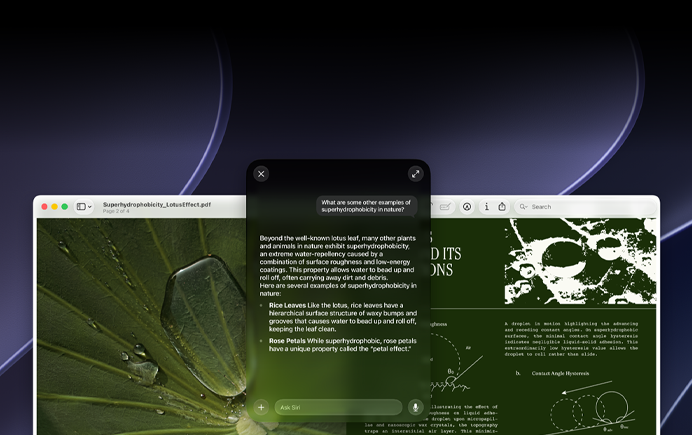 Dimostrazione di Siri e dell’intelligenza visiva, richiesta dell’utente su un argomento trattato in un PDF sullo schermo di un Mac, la domanda chiede altri esempi di superidrofobicità in natura, Siri risponde